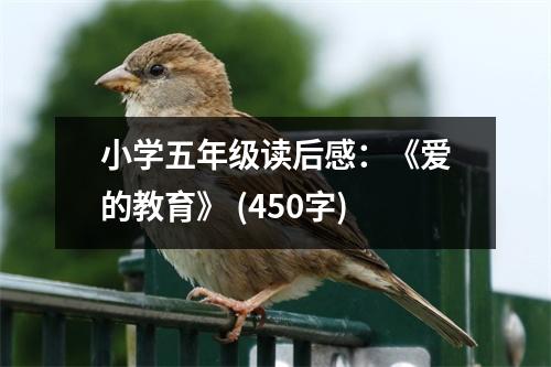 小學(xué)五年級讀后感：《愛的教育》 (450字)
