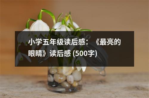 小學(xué)五年級(jí)讀后感：《最亮的眼睛》讀后感 (500字)