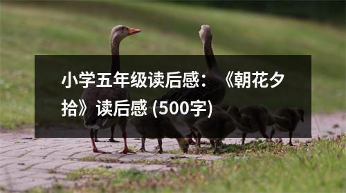小學(xué)五年級(jí)讀后感：《朝花夕拾》讀后感 (500字)