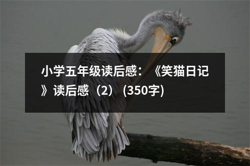 小學五年級讀后感：《笑貓日記》讀后感（2） (350字)