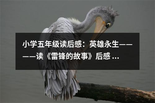 小學五年級讀后感：英雄永生————讀《雷鋒的故事》后感 (450字)