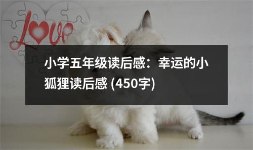 小學五年級讀后感：幸運的小狐貍讀后感 (450字)