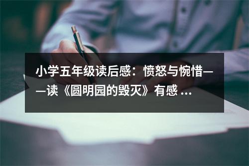 小學(xué)五年級(jí)讀后感：憤怒與惋惜——讀《圓明園的毀滅》有感 (350字)