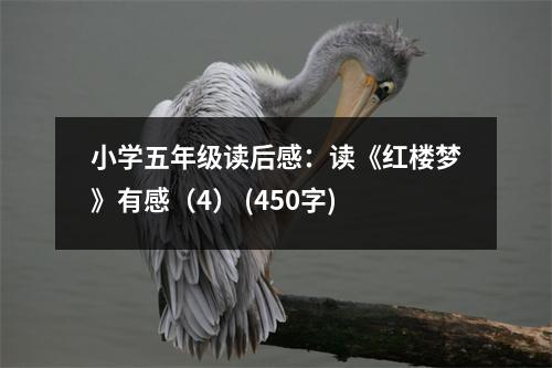 小學(xué)五年級讀后感：讀《紅樓夢》有感（4） (450字)