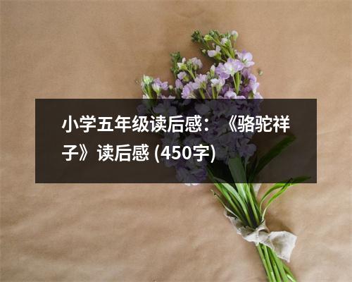 小學(xué)五年級讀后感：《駱駝祥子》讀后感 (450字)