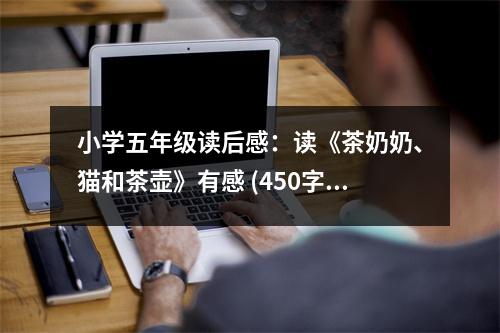 小學(xué)五年級讀后感：讀《茶奶奶、貓和茶壺》有感 (450字)