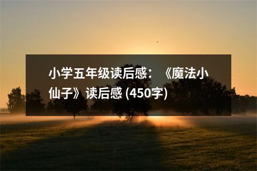 小學(xué)五年級(jí)讀后感：《魔法小仙子》讀后感 (450字)