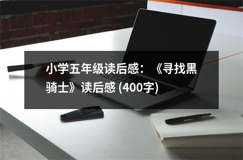 小學(xué)五年級(jí)讀后感：《尋找黑騎士》讀后感 (400字)