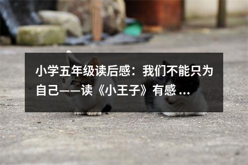 小學(xué)五年級(jí)讀后感：我們不能只為自己——讀《小王子》有感 (500字)