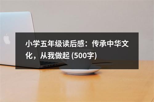 小學(xué)五年級(jí)讀后感：傳承中華文化，從我做起 (500字)