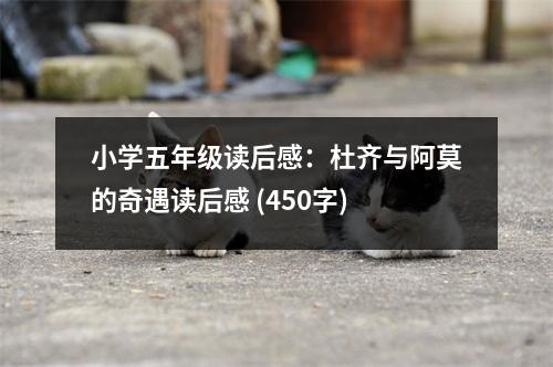 小學(xué)五年級(jí)讀后感：杜齊與阿莫的奇遇讀后感 (450字)