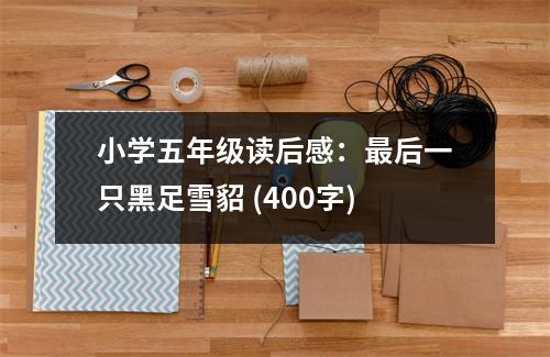 小學(xué)五年級(jí)讀后感：最后一只黑足雪貂 (400字)