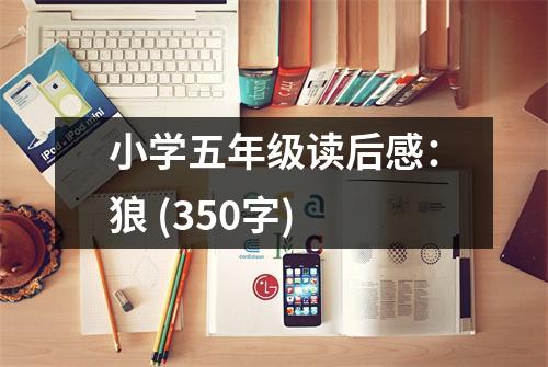 小學(xué)五年級(jí)讀后感：狼 (350字)