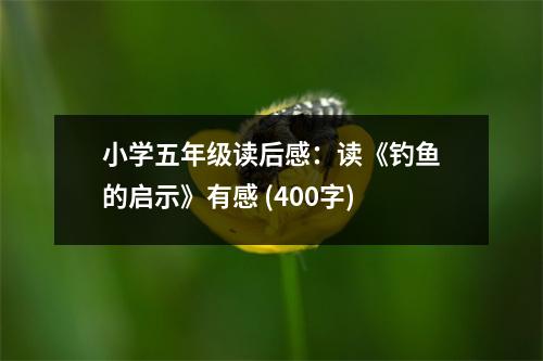 小學(xué)五年級(jí)讀后感：讀《釣魚的啟示》有感 (400字)