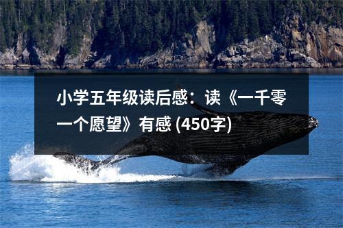 小學(xué)五年級(jí)讀后感：讀《一千零一個(gè)愿望》有感 (450字)