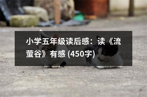 小學(xué)五年級(jí)讀后感：讀《流螢谷》有感 (450字)