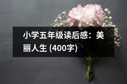 小學(xué)五年級讀后感：美麗人生 (400字)