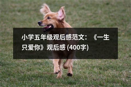 小學(xué)五年級觀后感范文：《一生只愛你》觀后感 (400字)