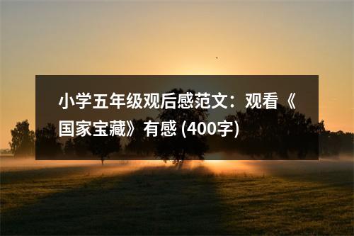 小學(xué)五年級觀后感范文：觀看《國家寶藏》有感 (400字)