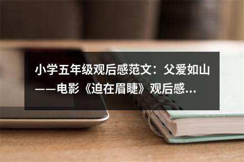 小學(xué)五年級(jí)觀后感范文：父愛如山——電影《迫在眉睫》觀后感 (400字)