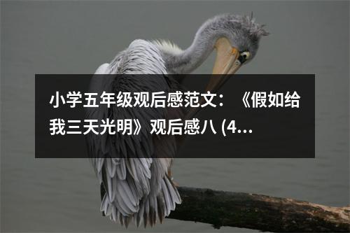小學(xué)五年級(jí)觀后感范文：《假如給我三天光明》觀后感八 (450字)