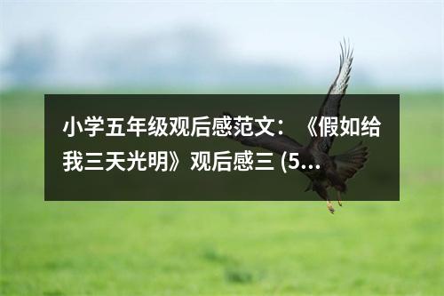 小學(xué)五年級觀后感范文：《假如給我三天光明》觀后感三 (500字)