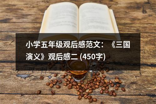 小學(xué)五年級觀后感范文：《三國演義》觀后感二 (450字)