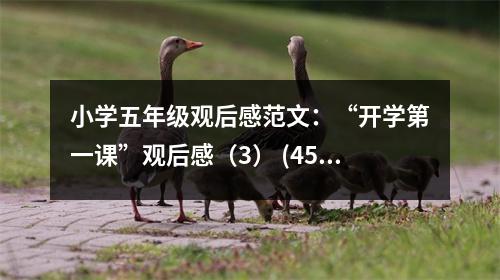 小學(xué)五年級(jí)觀(guān)后感范文：“開(kāi)學(xué)第一課”觀(guān)后感（3） (450字)