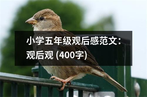小學五年級觀后感范文：觀后觀 (400字)