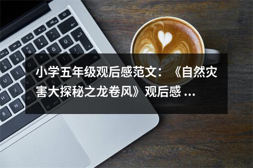 小學五年級觀后感范文：《自然災害大探秘之龍卷風》觀后感 (450字)