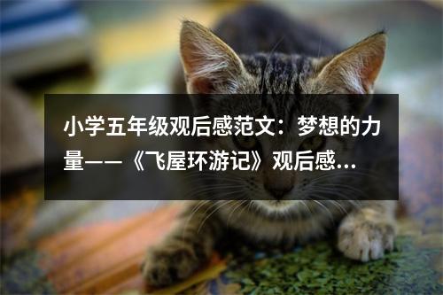 小學五年級觀后感范文：夢想的力量——《飛屋環(huán)游記》觀后感（2） (400字)