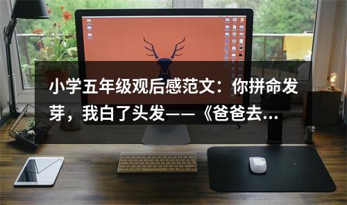 小學五年級觀后感范文：你拼命發(fā)芽，我白了頭發(fā)——《爸爸去哪兒》觀后感 (550字)