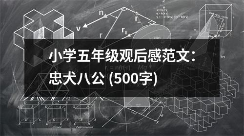 小學(xué)五年級(jí)觀后感范文：忠犬八公 (500字)