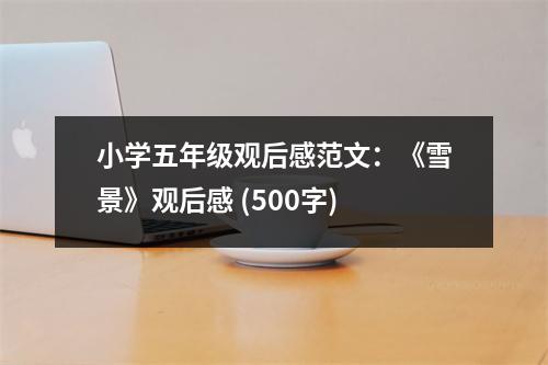 小學五年級觀后感范文：《雪景》觀后感 (500字)