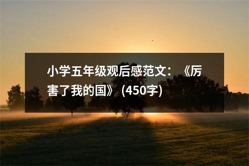 小學五年級觀后感范文：《厲害了我的國》 (450字)