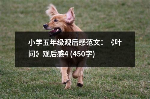 小學五年級觀后感范文：《葉問》觀后感4 (450字)