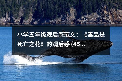 小學(xué)五年級觀后感范文：《毒品是死亡之花》的觀后感 (450字)