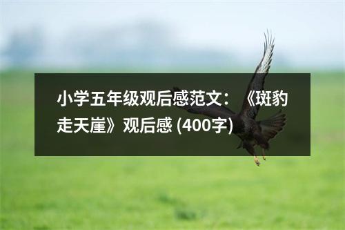 小學(xué)五年級觀后感范文：《斑豹走天崖》觀后感 (400字)