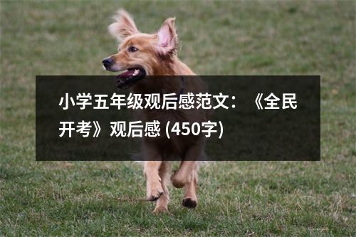 小學(xué)五年級(jí)觀后感范文：《全民開(kāi)考》觀后感 (450字)