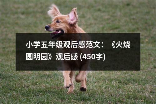 小學(xué)五年級觀后感范文：《火燒圓明園》觀后感 (450字)