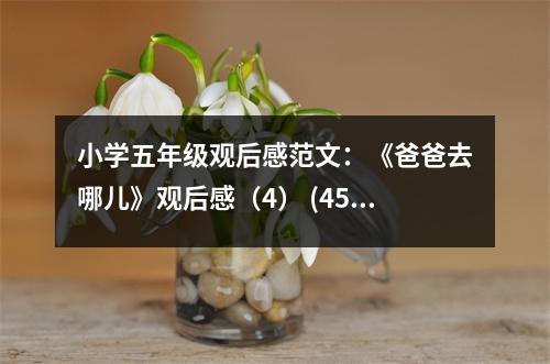 小學五年級觀后感范文：《爸爸去哪兒》觀后感（4） (450字)