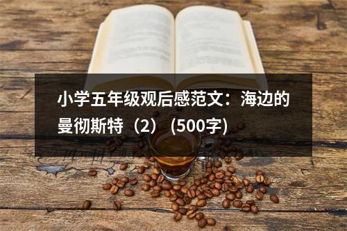 小學(xué)五年級(jí)觀后感范文：海邊的曼徹斯特（2） (500字)
