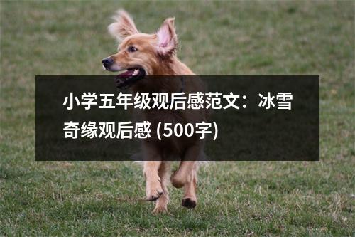 小學(xué)五年級(jí)觀后感范文：冰雪奇緣觀后感 (500字)