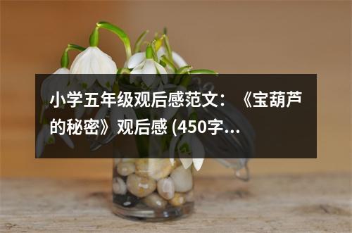 小學(xué)五年級(jí)觀后感范文：《寶葫蘆的秘密》觀后感 (450字)