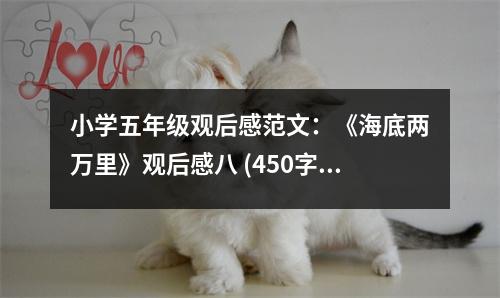 小學(xué)五年級(jí)觀后感范文：《海底兩萬里》觀后感八 (450字)