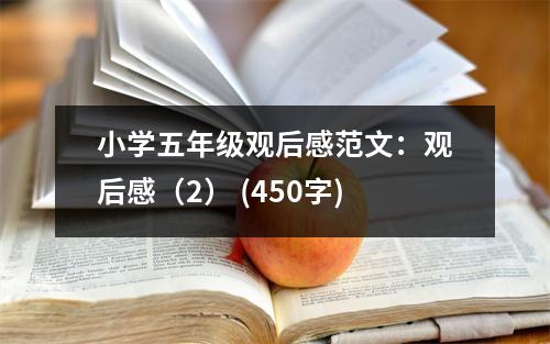 小學(xué)五年級(jí)觀后感范文：觀后感（2） (450字)