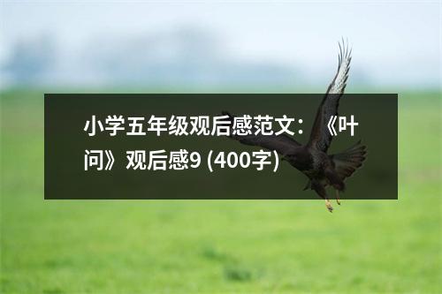 小學(xué)五年級觀后感范文：《葉問》觀后感9 (400字)