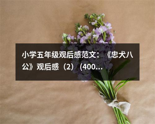 小學(xué)五年級觀后感范文：《忠犬八公》觀后感（2） (400字)