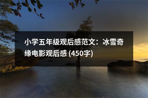 小學(xué)五年級觀后感范文：冰雪奇緣電影觀后感 (450字)