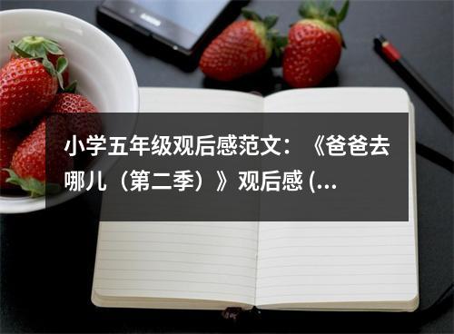 小學(xué)五年級(jí)觀后感范文：《爸爸去哪兒（第二季）》觀后感 (450字)